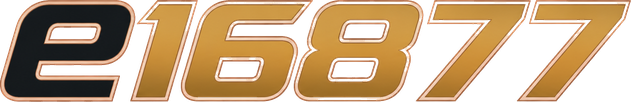 e16877
